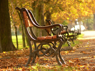 Fototapeta na wymiar red benches in the park