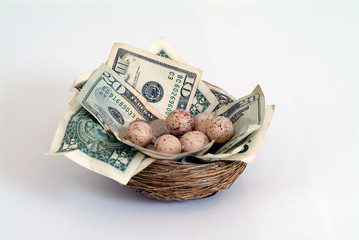 Obraz premium nest egg