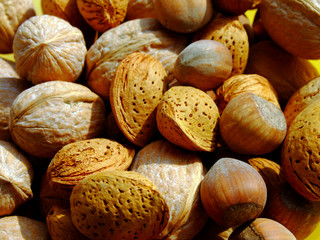 mixed nuts