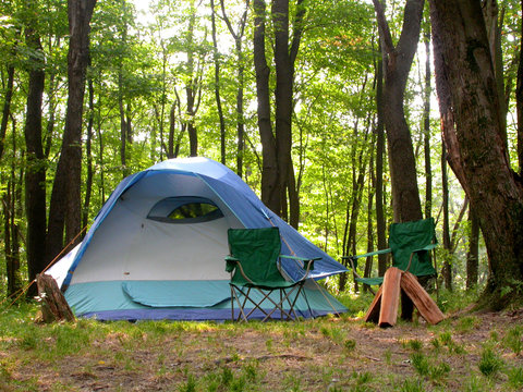 woodland campsite