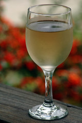 chilled glass of pinot grigio