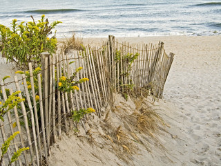 dunes and fence