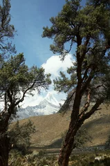 Papier Peint photo Alpamayo cordilleras mountain in peru