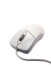 computer mouse on white background