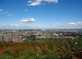 view from mont-royal of montreal
