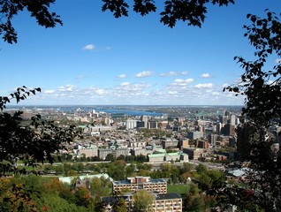view of montreal from mont-royal through trees