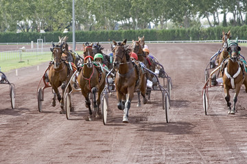 course de chevaux