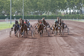 course de chevaux
