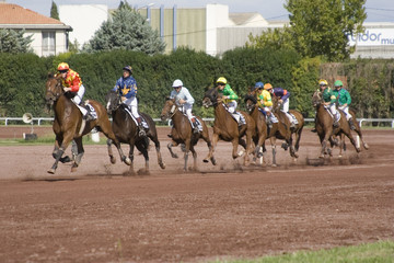 course de chevaux - trot monté