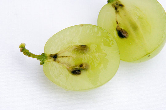 weintraube