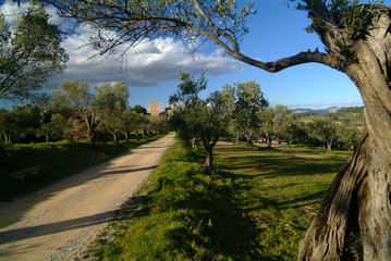 paysage de catalogne