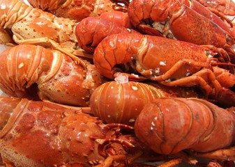 homards