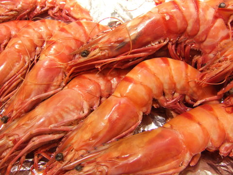 gambas