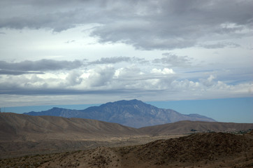 desert landscape