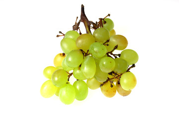 grapes #4