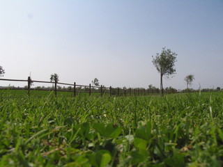 Obraz premium landscape