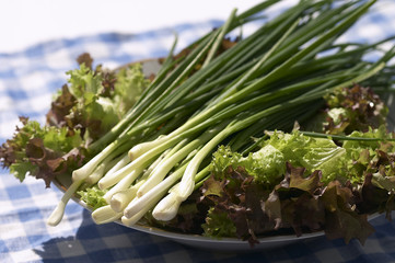 spring onions