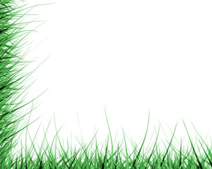 Fototapeta premium green grass border saturated
