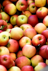 new york state apples
