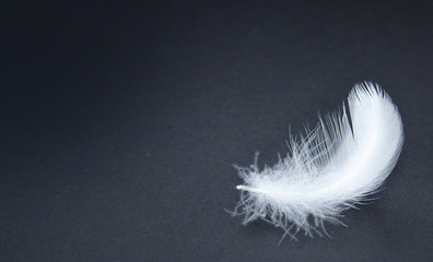 Obraz premium contrast