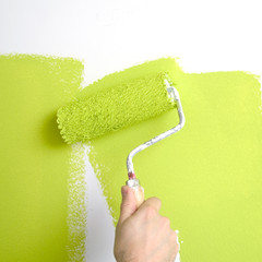 painting a wall with 'lime green ' paint