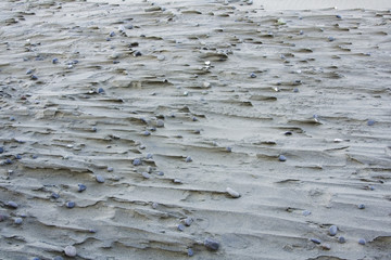 sand texture 4