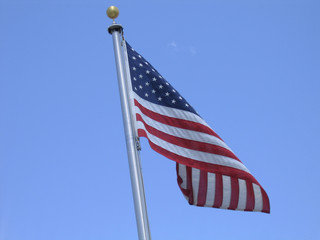 flag in breeze
