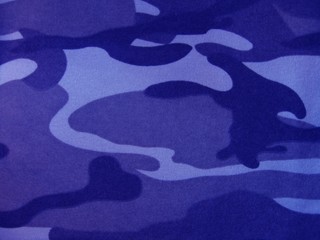 blue camouflage - 1464521