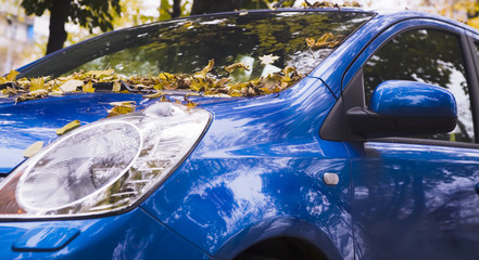 an autumn car