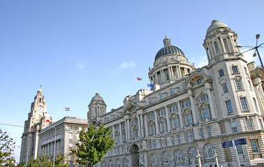 Obraz premium liver building in liverpool