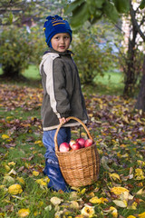 little boy posing outdoors with apples by autumn