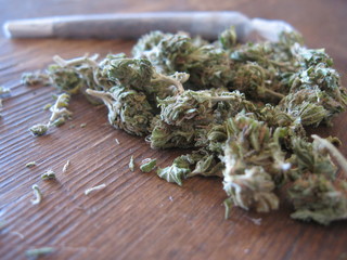 joint d'herbe