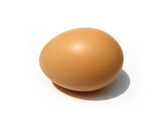 egg