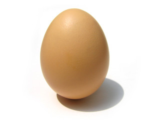 egg