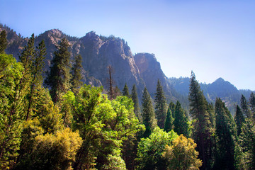 yosemite national park
