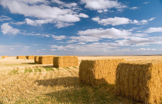 Hay Bale Square Images Browse 2 292 Stock Photos Vectors And Video Adobe Stock