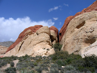 red rock canyon #10