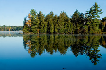 lake with pine trees