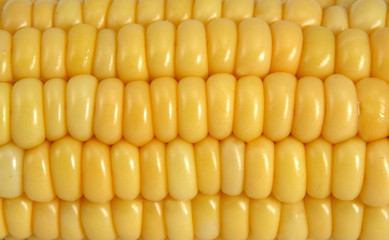 corn