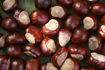 chestnut. background