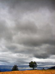 cloudy weather landscape