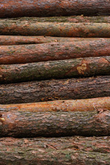 logs