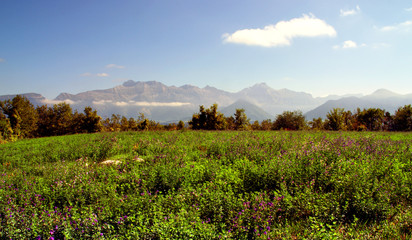 prarie et montagne