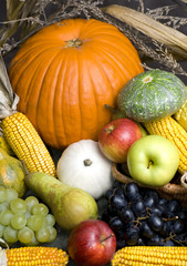harvest fruit
