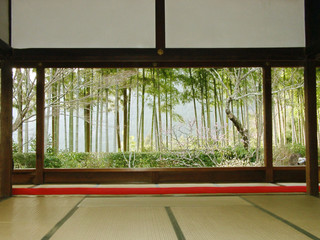 view from temple to japanese garden