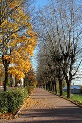 Fototapeta premium autumn street