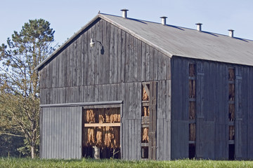 tobacco barn © Tom Mc Nemar