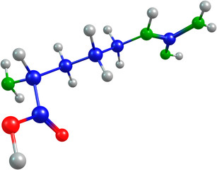 the 3d-rendered colorified molecule of glutamate