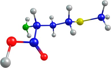 the 3d-rendered colorified molecule of methionine