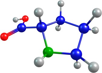 the 3d-rendered colorified molecule of proline